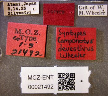 Media type: image;   Entomology 21492 Aspect: labels